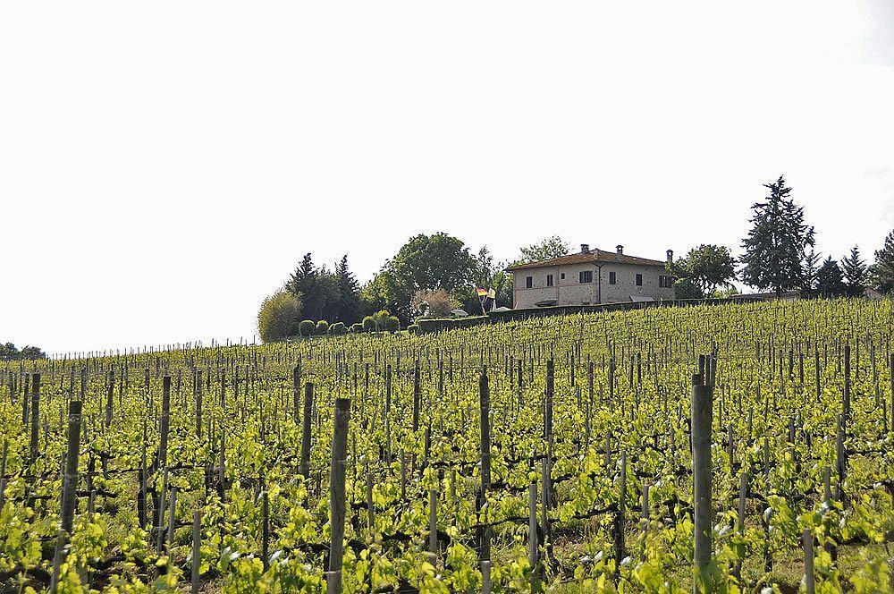 Il Colombaio, Siena -Appartamenti E Camere- Isola d'Arbia Exterior foto