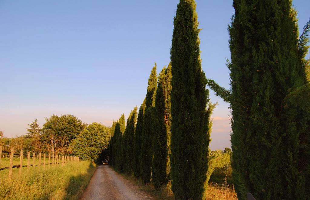 Il Colombaio, Siena -Appartamenti E Camere- Isola d'Arbia Exterior foto