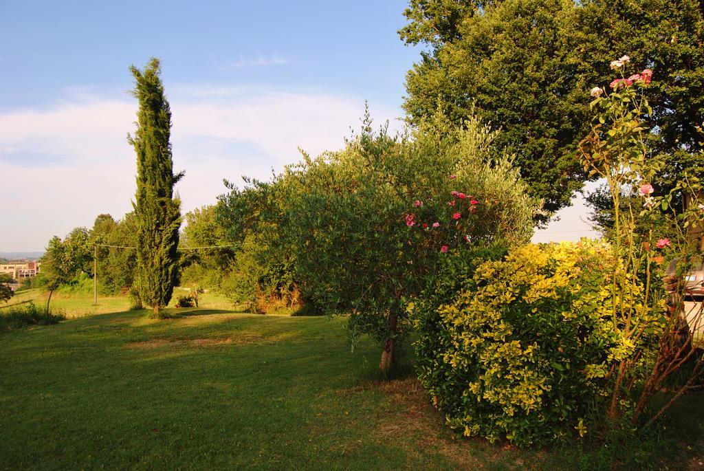 Il Colombaio, Siena -Appartamenti E Camere- Isola d'Arbia Exterior foto